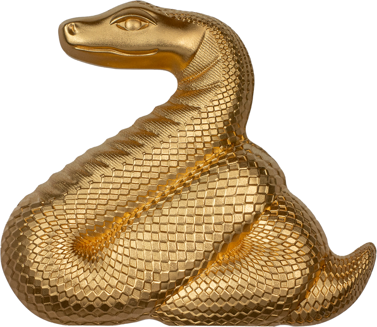 Nimble Gilded Snake | CIT Coin Invest